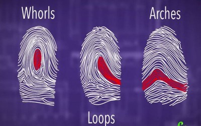 Jadwal Cap 3 Jari Tahun Ajaran 2018-2019